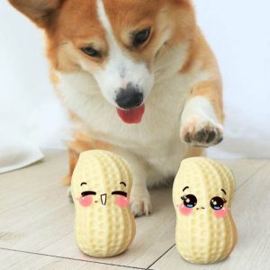 Funny Pet Dog Squeaky Toys for Small to Medium Dogs – Bite-Resistant Puppy and Cat Chew Toys